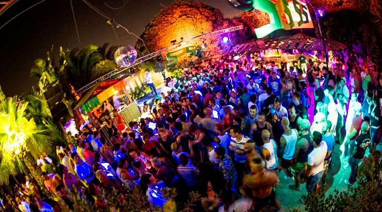 Groove Gardens